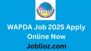 WAPDA Job 2025 Apply Online Now