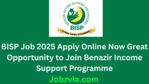 BISP Job 2025 Apply Online Now Great Opportunity to Join Benazir Income Support Programme